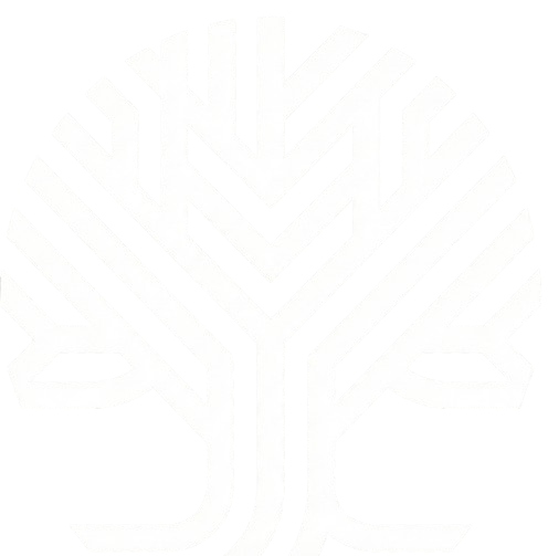 Guida Patrimonio